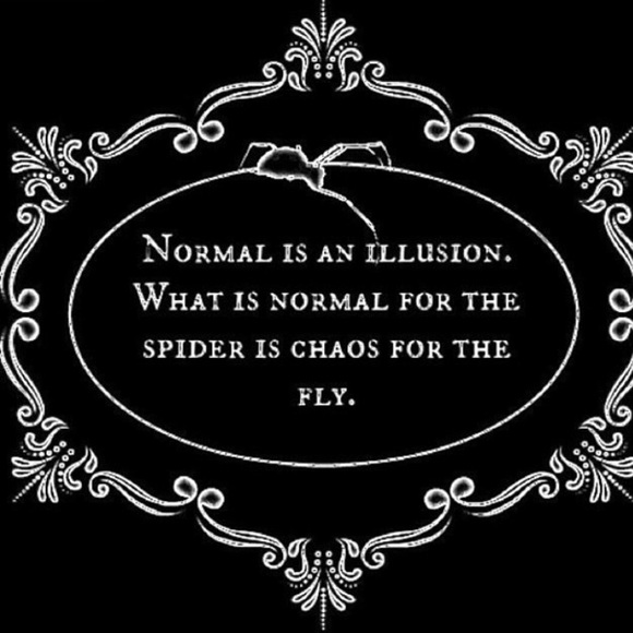 Meet your Posher, Brianna - Picture 4 of 11